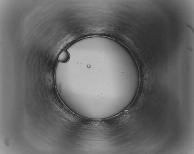 X0000103441218200809261746