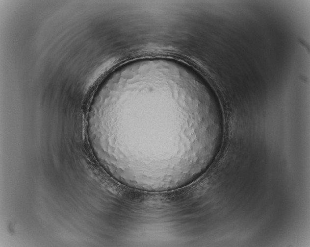 X0000103441219200809261746