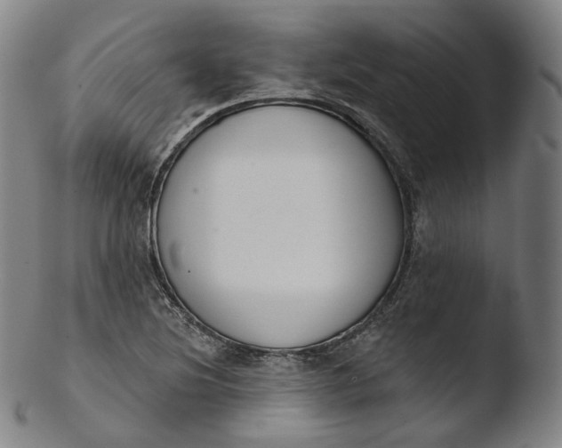 X0000103441220200809261746