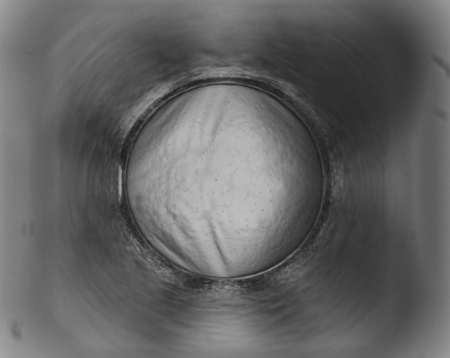 X0000103441221200809261746