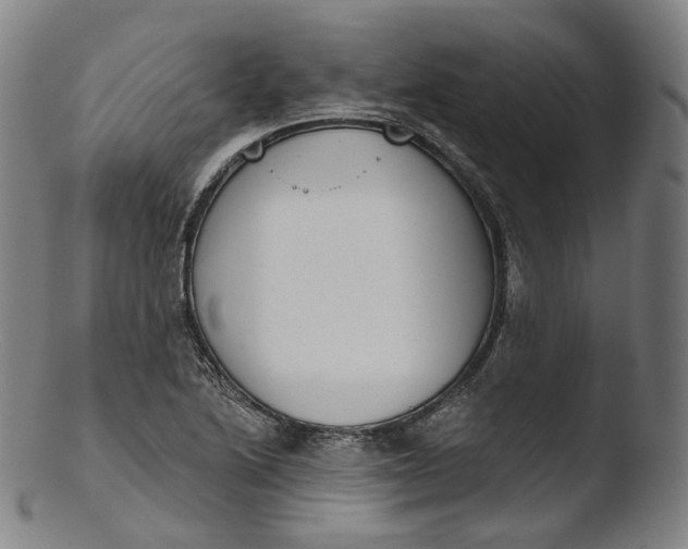 X0000103441222200809261746