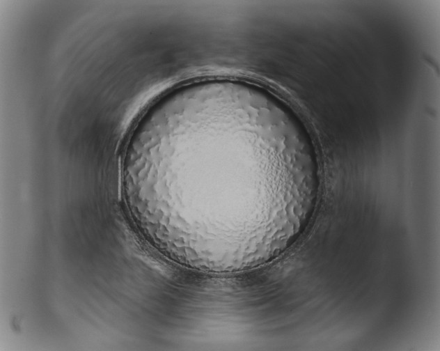 X0000103441223200809261746