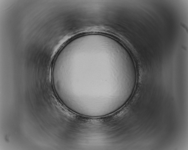X0000103441224200809261746