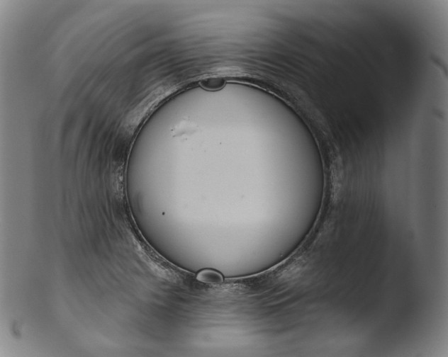 X0000103441225200809261746
