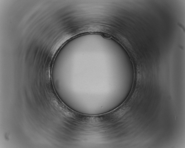 X0000103441226200809261746