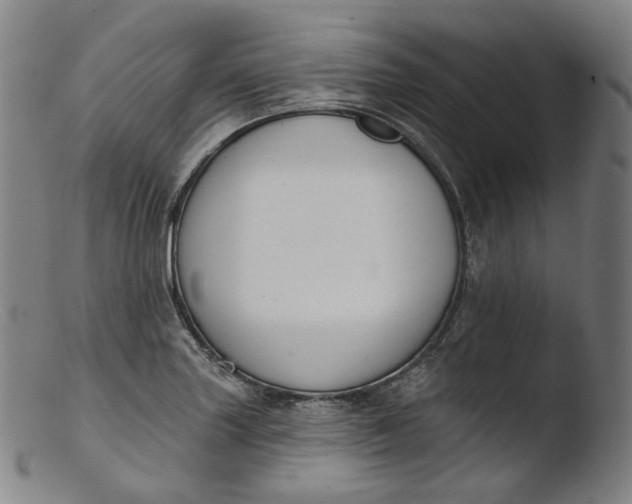 X0000103441227200809261746