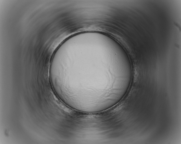 X0000103441228200809261746