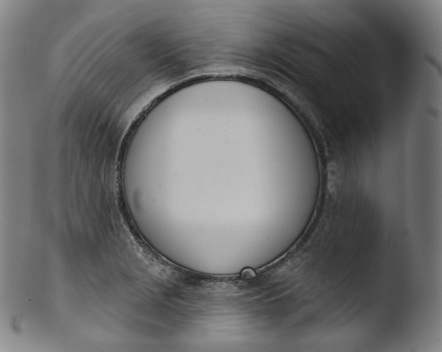 X0000103441229200809261746