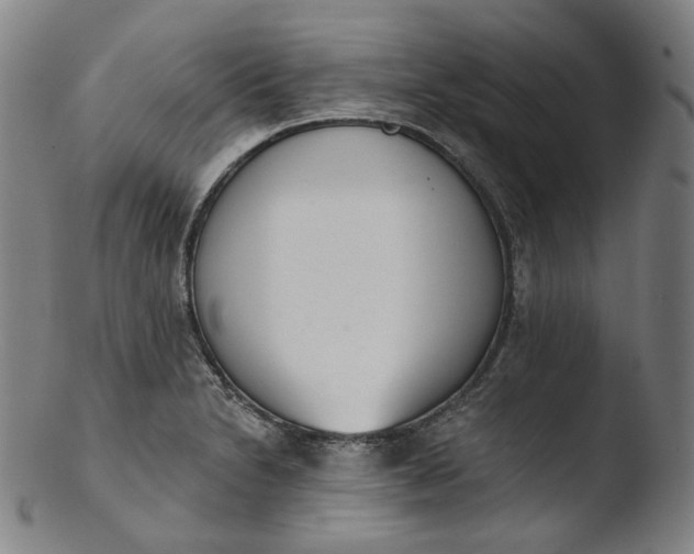 X0000103441230200809261747