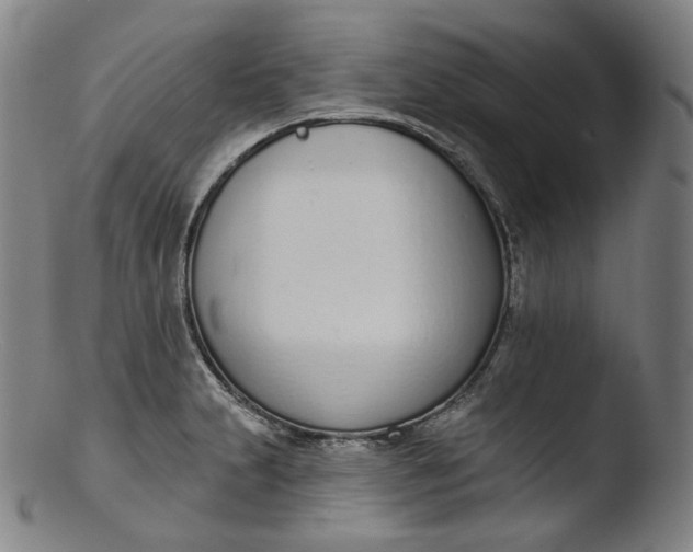 X0000103441231200809261747