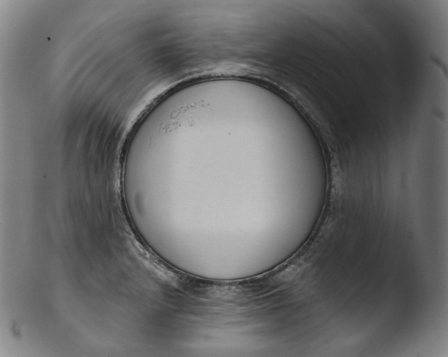 X0000103441232200809261747