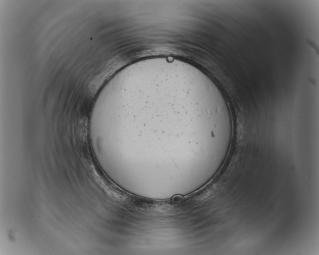 X0000103441233200809261747