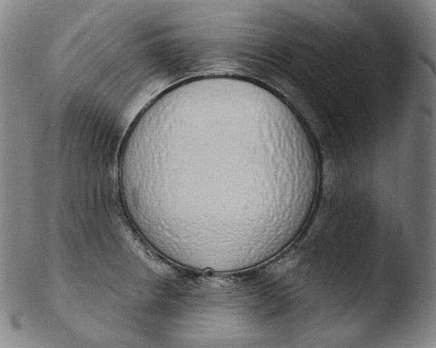 X0000103441234200809261747