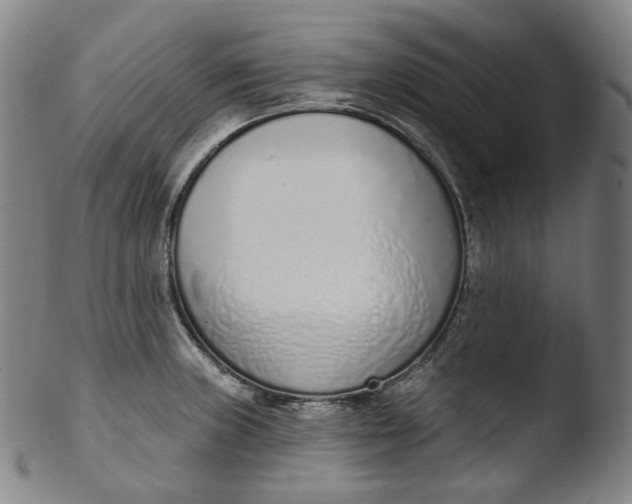 X0000103441235200809261747