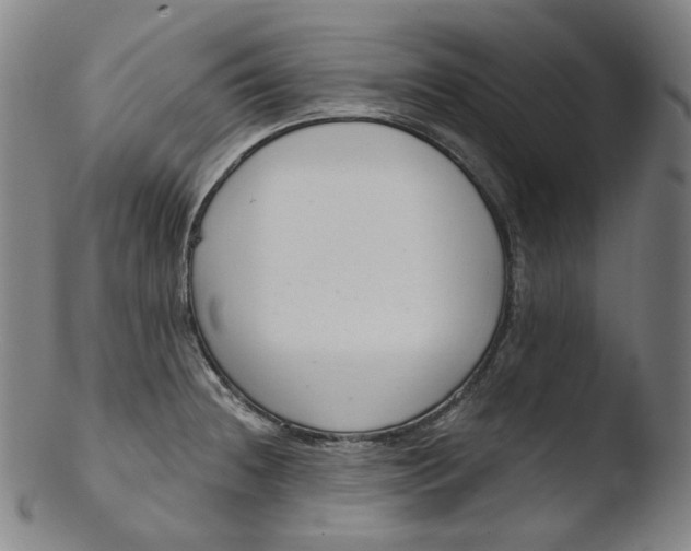 X0000103441236200809261747