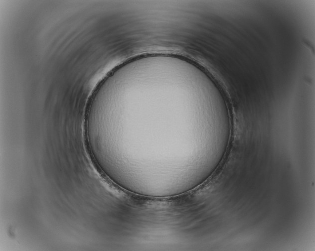 X0000103441237200809261747