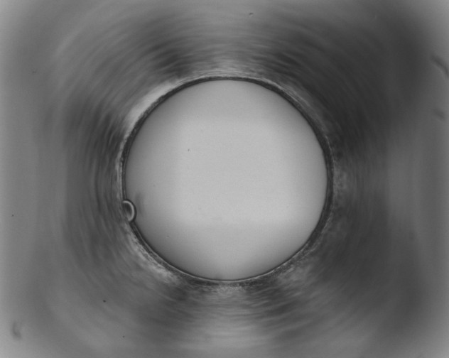 X0000103441238200809261747