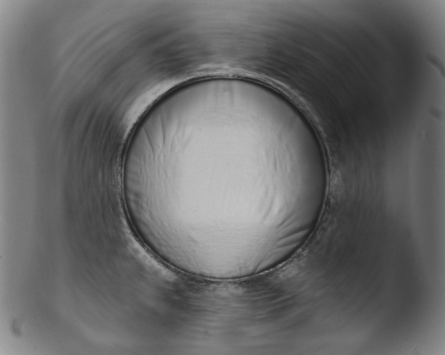 X0000103441239200809261747