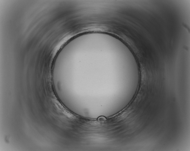 X0000103441240200809261747