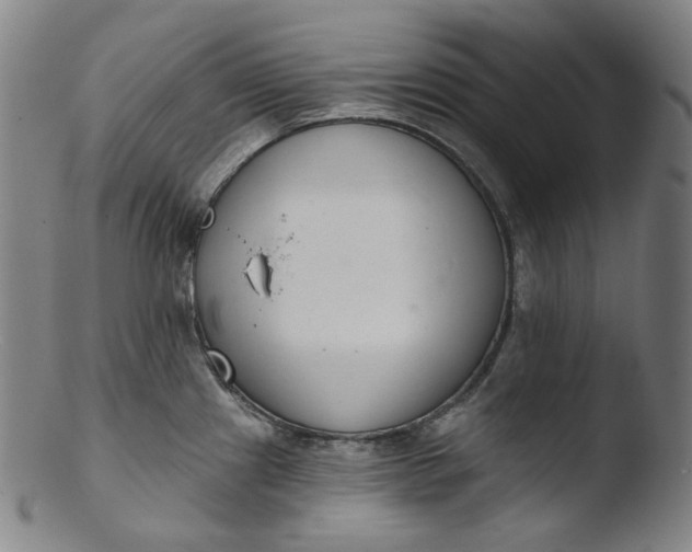 X0000103441241200809261747