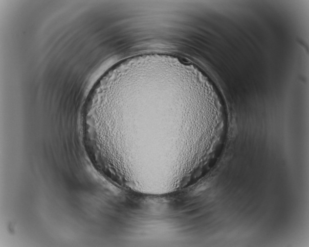X0000103441243200809261747