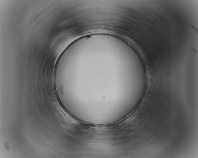 X0000103441244200809261747