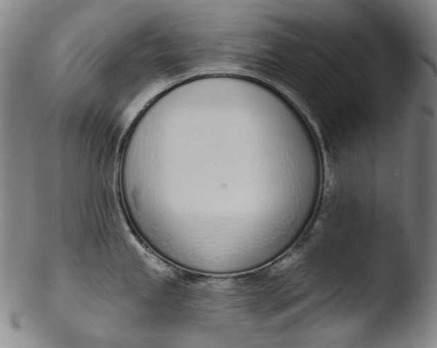 X0000103441245200809261747