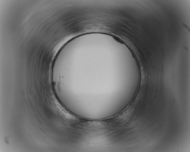 X0000103441246200809261747