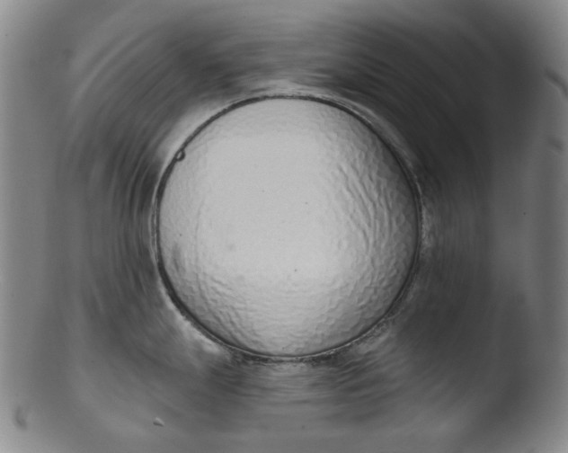 X0000103441247200809261747