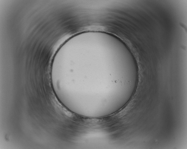 X0000103441248200809261747