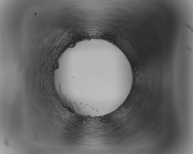 X0000103441249200809261746
