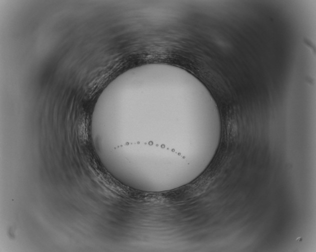 X0000103441250200809261746