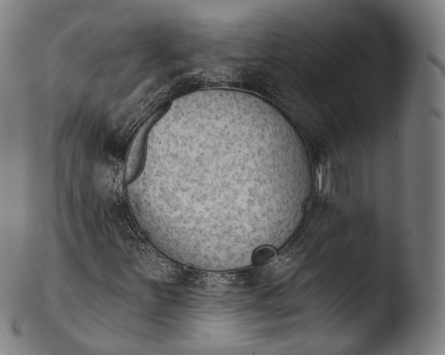 X0000103441251200809261746