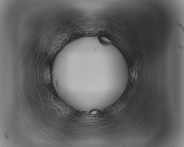 X0000103441252200809261746