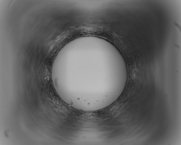 X0000103441253200809261746