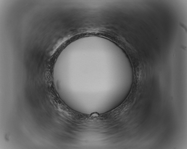 X0000103441256200809261746