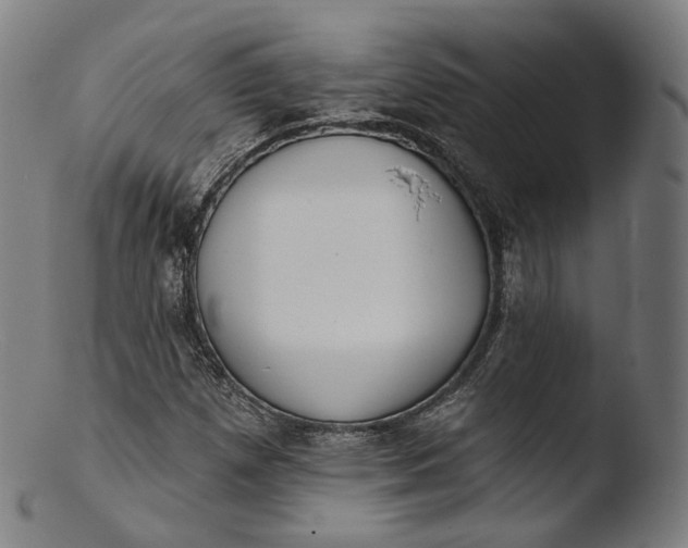 X0000103441257200809261746
