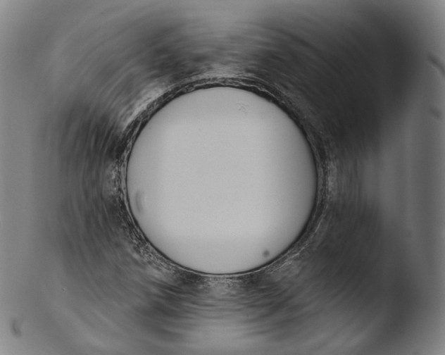X0000103441258200809261746