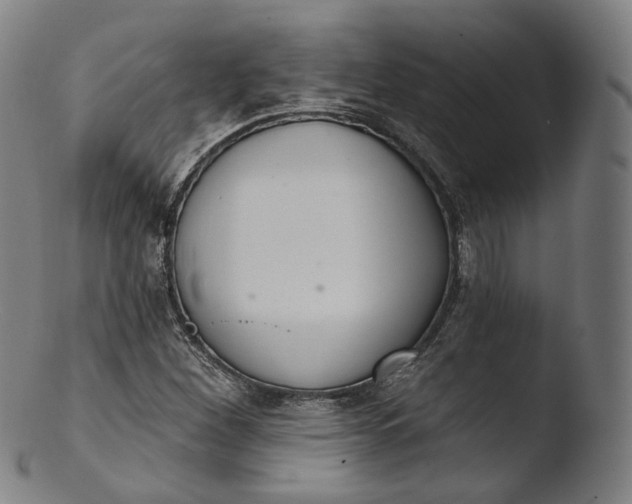 X0000103441260200809261746