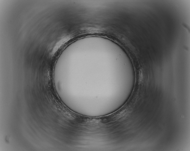 X0000103441261200809261746