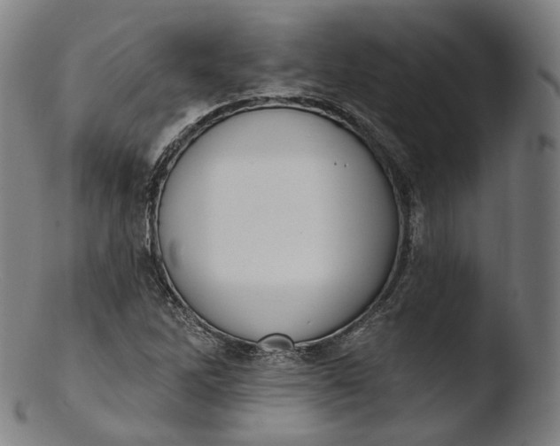 X0000103441262200809261746