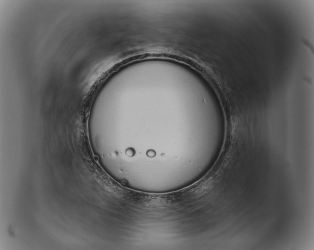 X0000103441263200809261746