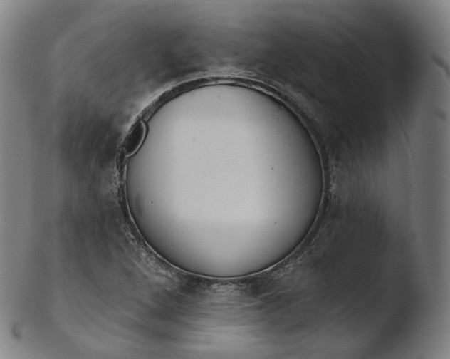 X0000103441264200809261746