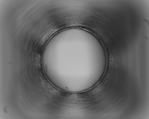 X0000103441265200809261746