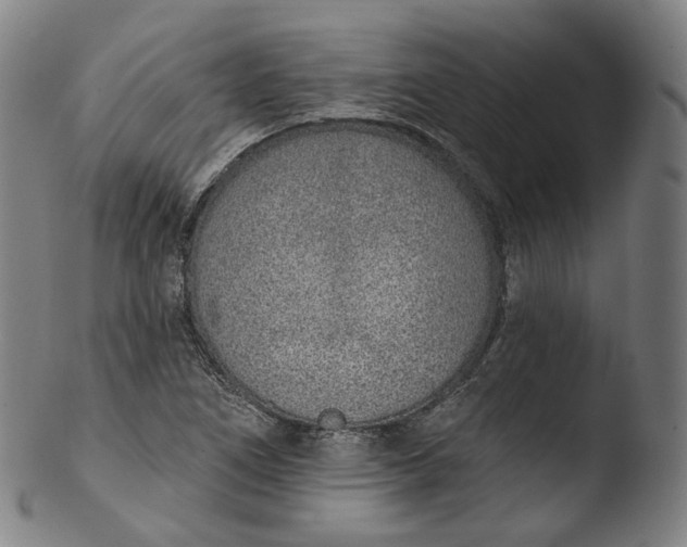 X0000103441266200809261746