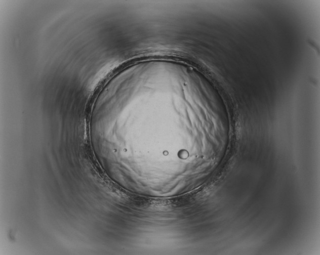 X0000103441267200809261746