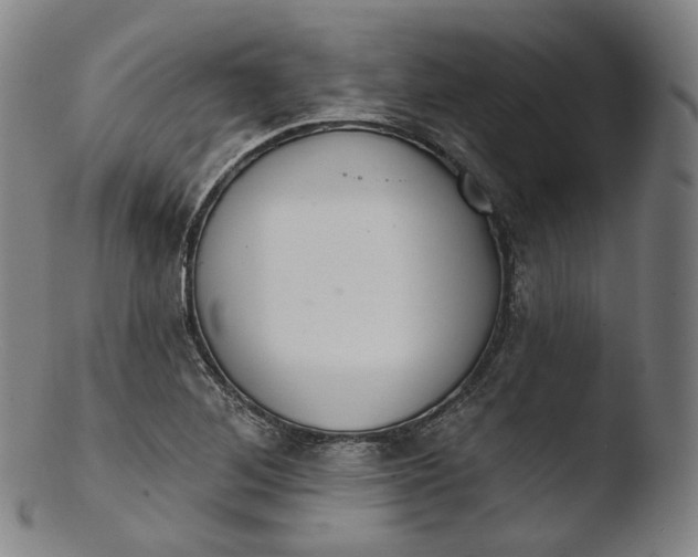 X0000103441268200809261746