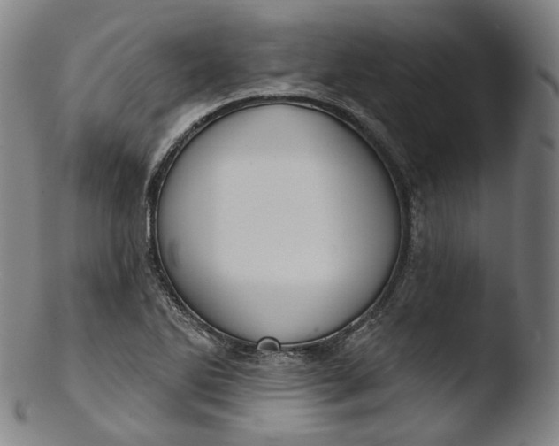 X0000103441270200809261746