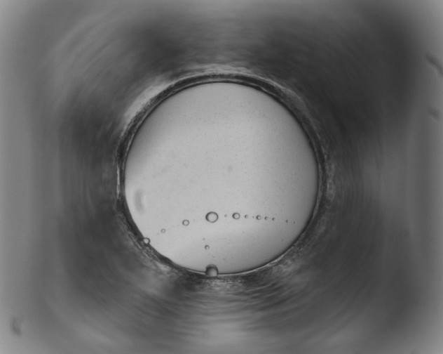X0000103441271200809261746