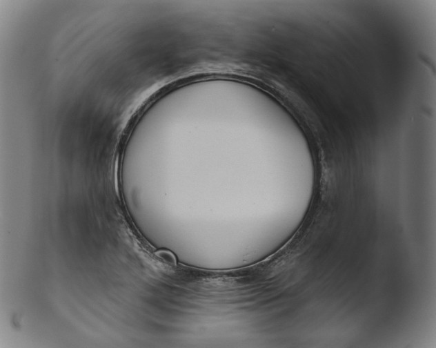 X0000103441272200809261746